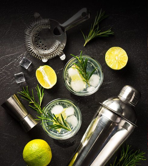 El Refrescante Cóctel Gin Rickey